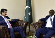 Senate leader for further enhancing Pak-Kenya trade ties