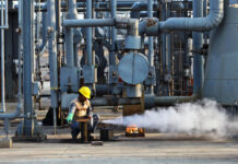 Private sector set to import LNG before peak winter
