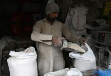 Flour prices in Karachi rise twice in a week