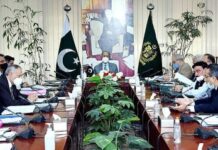 ECC approves Rs4.98bn for implementation of interest free loan programme