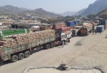 272 trucks carrying onions await clearance at Torkham border