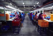 Treet Corporation says goodbye to its for-profit education company