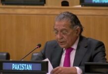 Pakistan urges creation of facility for infrastructure investment in developing countries