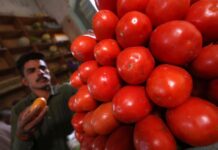 Rising prices force govt to import tomatoes from Iran