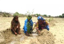 Pakistan joins hands with global leaders to stem biodiversity loss