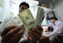 October remittances grow 14pc to $2.3bn