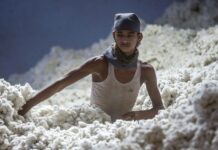 APTMA, PHMA lock horns over duty-free import of cotton yarn