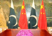 Envoy stresses focus on value addition to increase exports to China