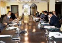 Hafeez Shaikh calls for early completion of telecom spectrum sale process