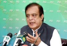 PTV being restructured, not privatised: Shibli