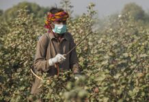 Imports of agricultural chemicals increase 5.94pc YoY in Q1FY21