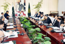 ECC forms committee to resolve circular debt issue