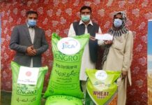JICA provides relief to 350 farmers in Punjab