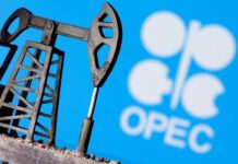 OPEC+ panel sees weaker oil demand in 2021