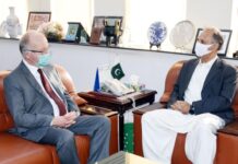 Norway to forge cooperation with Pakistan in renewable energy sector: envoy