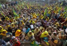 Indian farm widows join protests against agriculture reforms