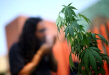 Cannabis review site Weedmaps agrees $1.5bn deal to go public