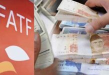 ‘FATF compliance’: Govt to keep a close eye on CDNS investors