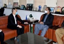 China keen to enhance energy cooperation under CPEC: envoy