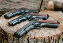 Commerce ministry proposes NOC condition for import of NPB arms, ammunition