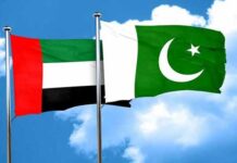 Pakistan, UAE working on new economic roadmap