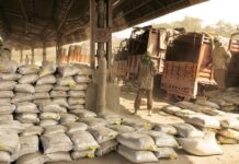 Punjab govt approves establishment of five cement plants