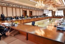 Govt to appoint CEOs of DISCOs, MDs of gas utilities