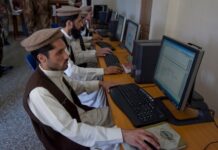 Freelancer training centres to be set up in KP