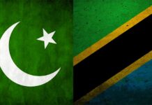 Pakistani investors urged to explore investment opportunities in Tanzania