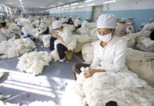 China poverty alleviation, cotton boom backed by forced labour in Xinjiang: report