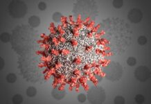 Coronavirus kills 80 more, infects 2184 others in a day: NCOC