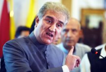PTI govt striving hard to strengthen economy: Qureshi