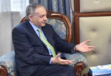 Trade vision with Afghanistan, CARs to make Pakistan economic hub: Dawood