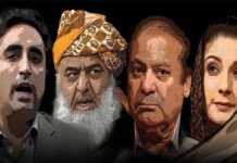 PDM bosses agree to throw hats in Senate race