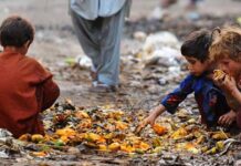 ‘Govt to launch digital survey to identify poor under Ehsaas Programme’