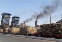 Sugar industry’s margins stagnant, even as revenues rise