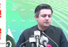 ‘Govt-created financial crises helped curb terror financing,’ Hammad Azhar reassures FATF