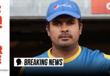 Pakistan cricket team will always be safe space for unfit players, fixers: Sharjeel