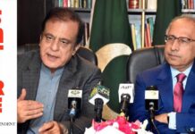 Removed Shaikh due to inflation he’s causing today through policies as PPP’s finance minister in 2010-2013: Shibli