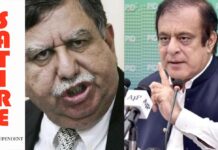 After appointing 2nd PPP finance minister for 1st half of PTI rule, have appointed 1st PPP finance minister for 2nd half of PTI rule: Shibli