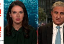 ‘Antisemitism would be if I praised the great Hitler which I’m not stupid to do,’ Qureshi schools CNN host