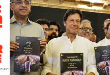 Govt officer who equated PTI govt with Taliban appointed minister of planning