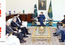 New overhauled PTI finalises untested strategy of winning election by getting more votes