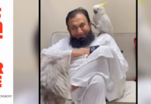 Parrot clergy condemns public vulgarity