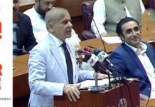 ‘I’m as hybrid as it gets,’ PM reassures selectors