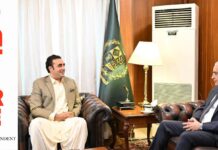 ‘PPP, Egypt best known for things that happened many years ago,’ Bilawal bonds with Egypt ambassador