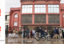 Bajball: Fans enthralled by new, all-action, brand of traditional sport