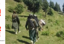 Defence ministry renews license for network to operate in country