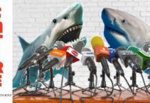 Not behind all internet outages, claims sharks’ association