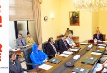 NSC approves formation of high-powered panel to improve sound quality of audio leaks